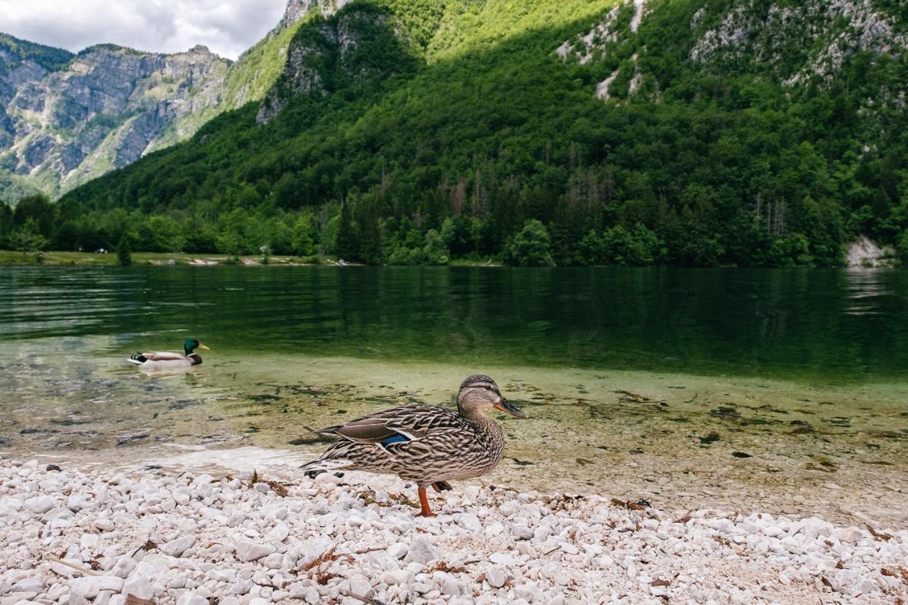 Villa Melody Bohinj Zewnętrze zdjęcie